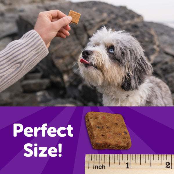 Wellness Rewarding Life Beef & Turkey Recipe Dog Treats, 6 oz. Bag