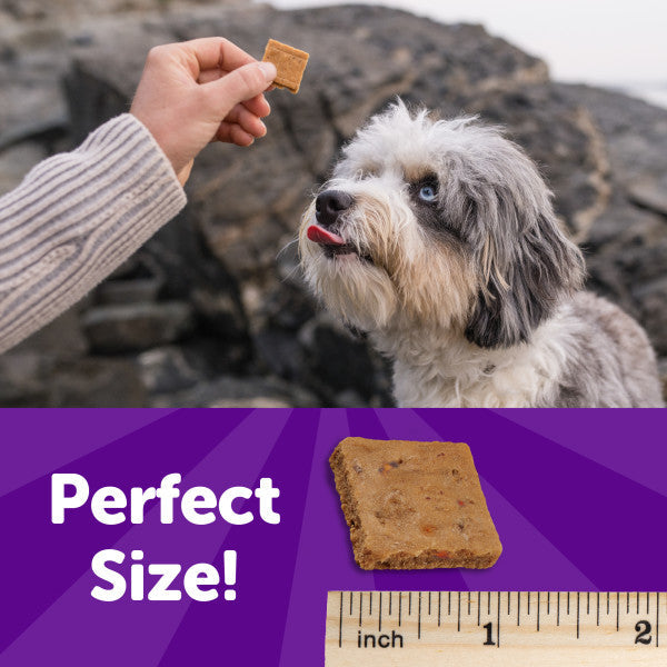 Wellness Rewarding Life Chicken & Lamb Recipe Dog Treats, 6 oz. Bag
