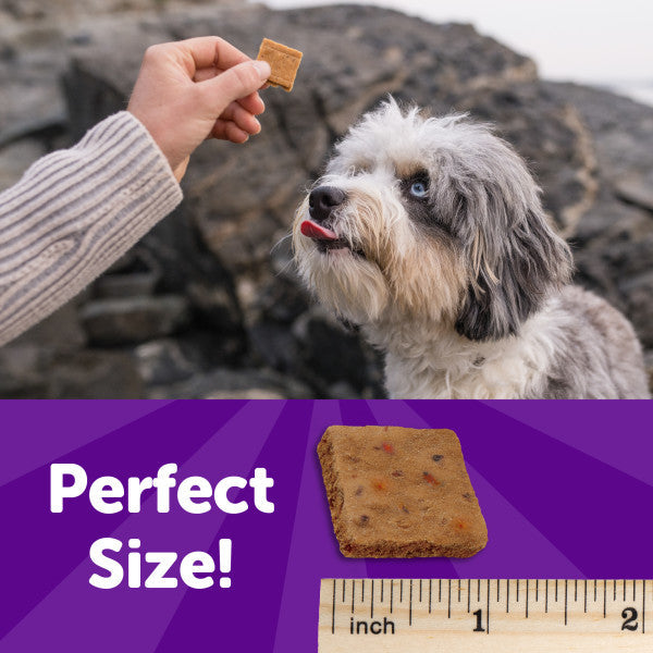 Wellness Rewarding Life Chicken & Venison Recipe Dog Treats, 6 oz. Bag