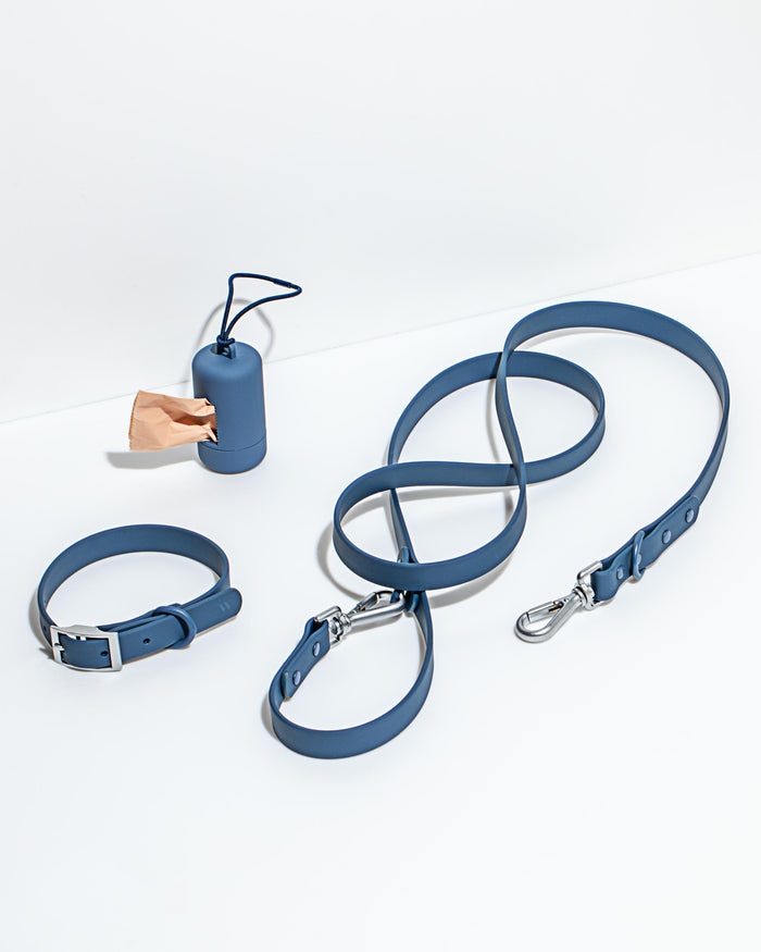 Wild One Dog Collar - Navy