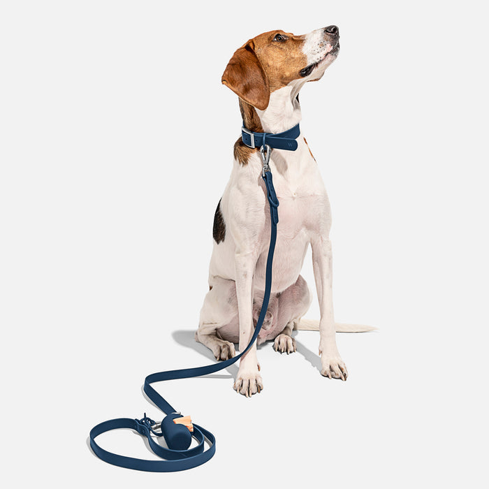 Wild One Dog Collar - Navy