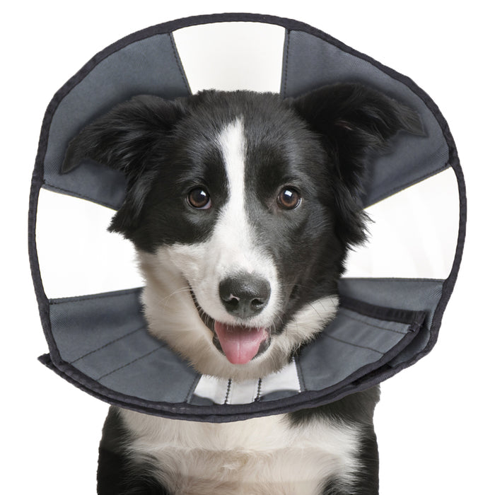 ZenPet ZenCone Original Soft Recovery Cone for Dogs